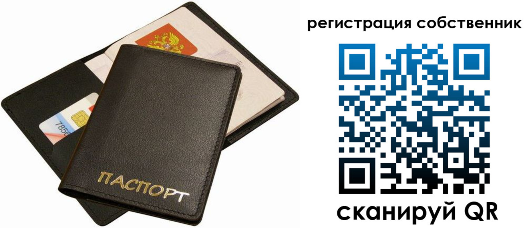 прописка паспорт в Мончегорске