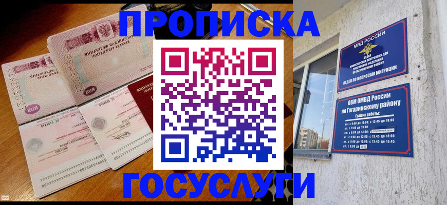 где прописаться в Мончегорске